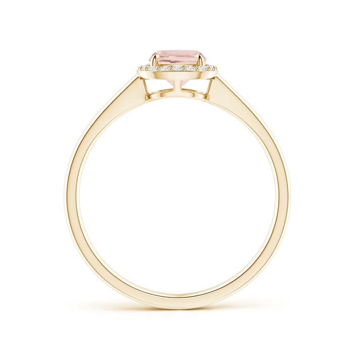 AA - Morganite / 0.86 CT / 14 KT Yellow Gold