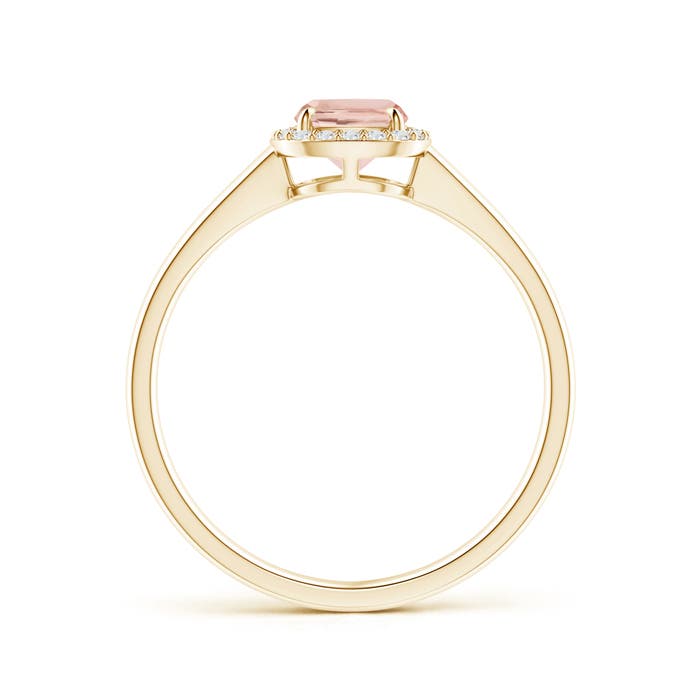 AAA - Morganite / 0.86 CT / 14 KT Yellow Gold