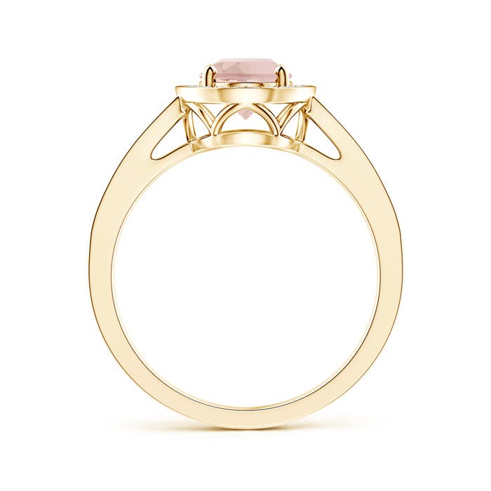 AAA - Morganite / 1.5 CT / 14 KT Yellow Gold