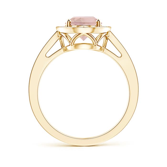 AA - Morganite / 2.19 CT / 14 KT Yellow Gold