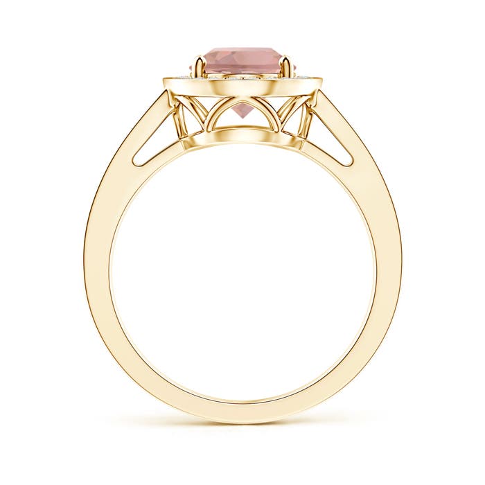 AAAA - Morganite / 2.19 CT / 14 KT Yellow Gold