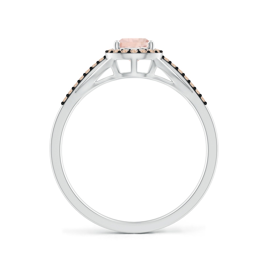 7x5mm A Pear-Shaped Morganite Ring with Coffee Diamond Halo in P950 Platinum side-1