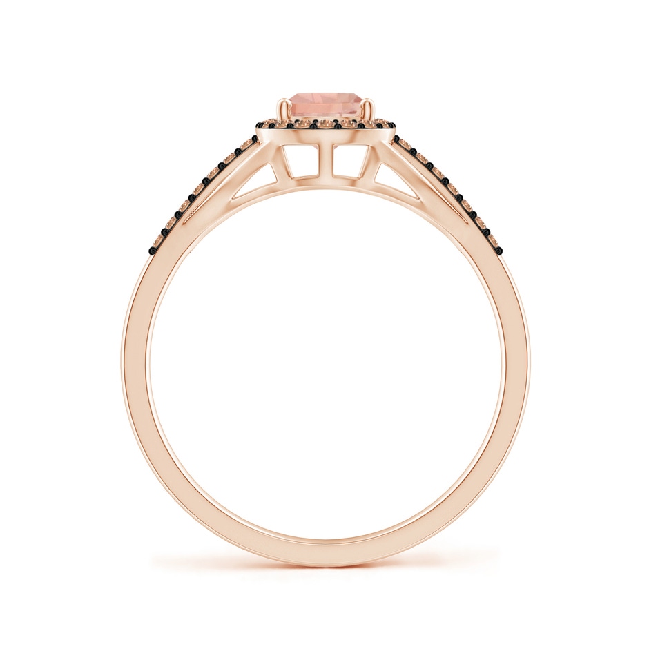 7x5mm AAA Pear-Shaped Morganite Ring with Coffee Diamond Halo in Rose Gold side-1