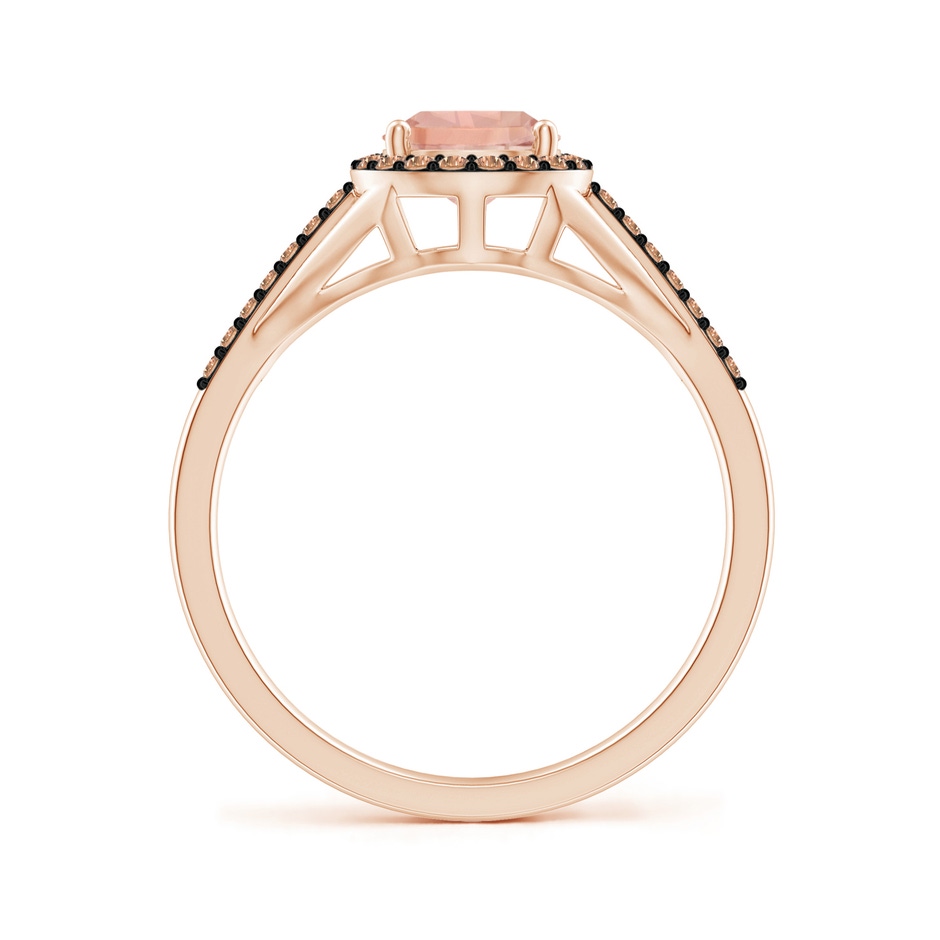 8x6mm AAA Pear-Shaped Morganite Ring with Coffee Diamond Halo in Rose Gold side-1