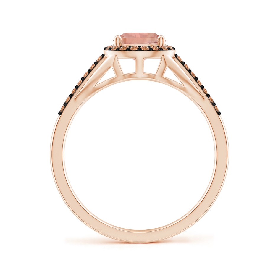 8x6mm AAAA Pear-Shaped Morganite Ring with Coffee Diamond Halo in Rose Gold side-1
