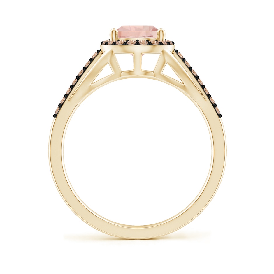 9x6mm AA Pear-Shaped Morganite Ring with Coffee Diamond Halo in Yellow Gold side-1