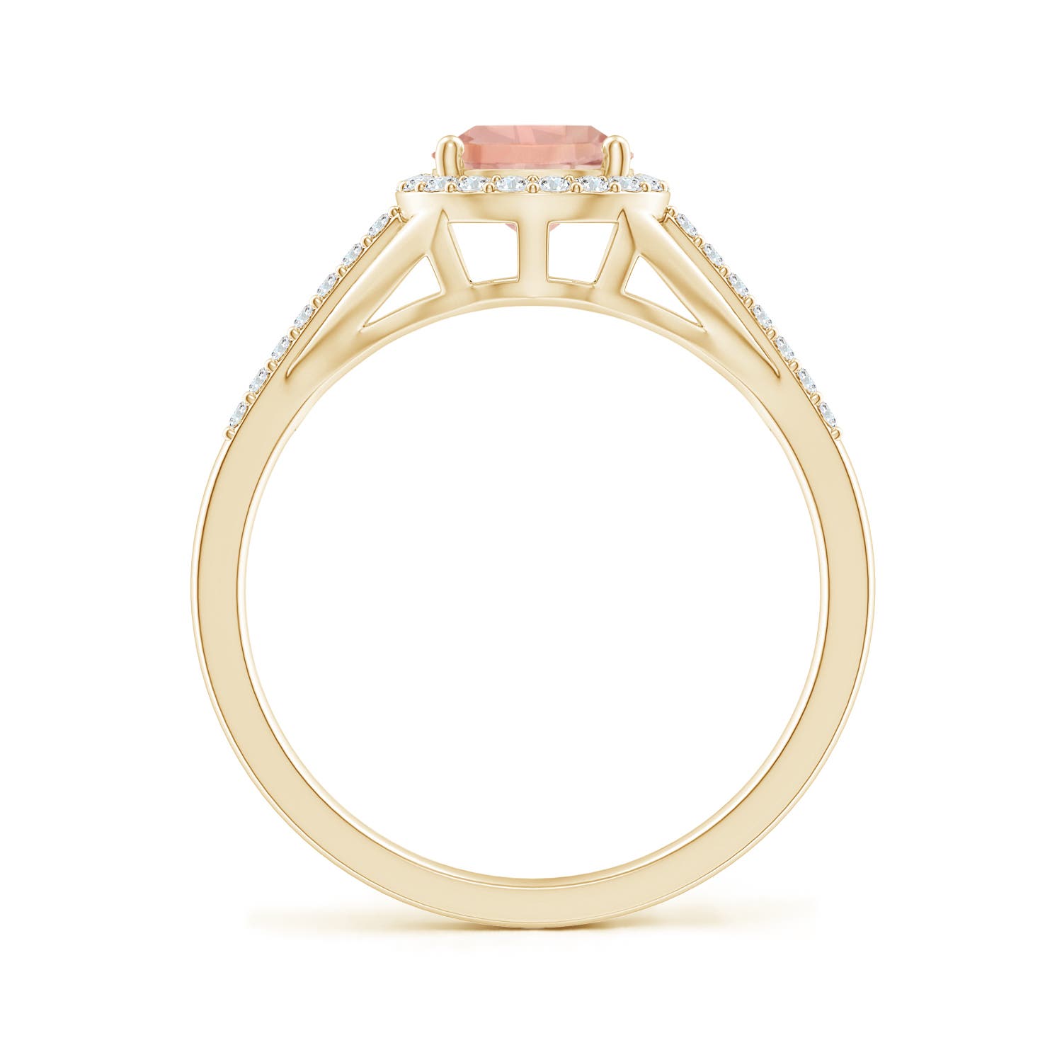 AAA - Morganite / 1.16 CT / 14 KT Yellow Gold