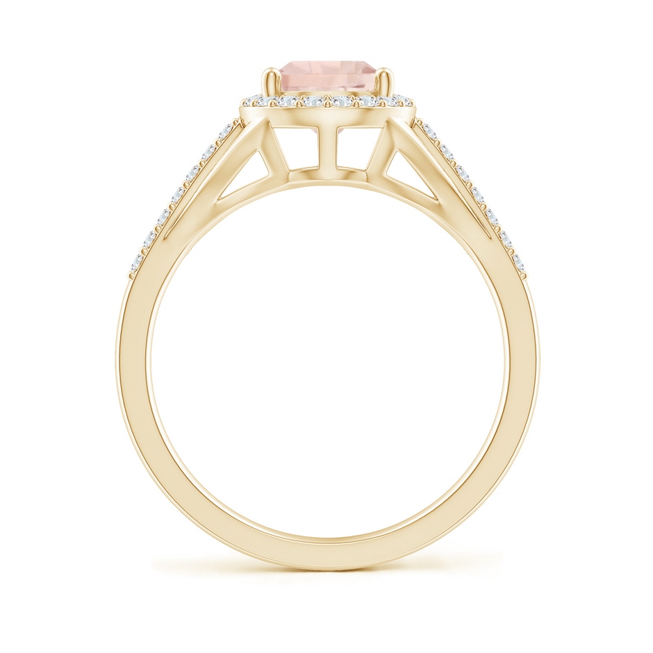 9x6mm A Pear-Shaped Morganite Ring with Diamond Halo in Yellow Gold side-1