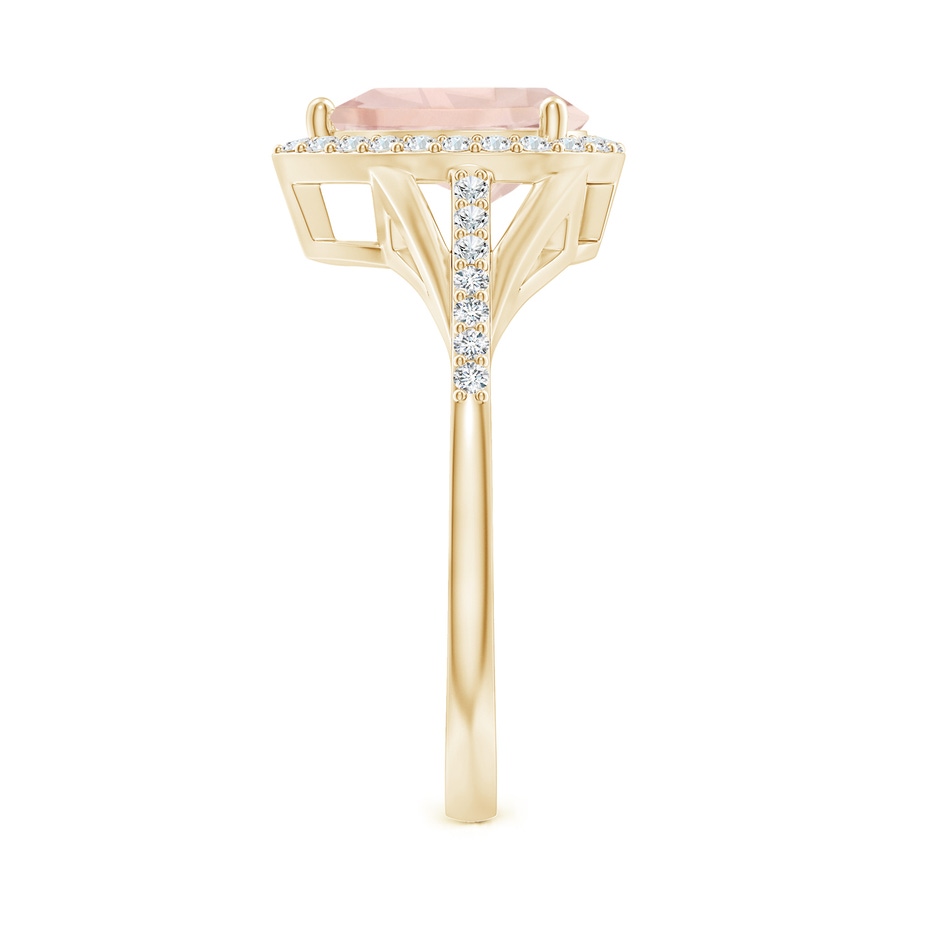 9x6mm A Pear-Shaped Morganite Ring with Diamond Halo in Yellow Gold side-2