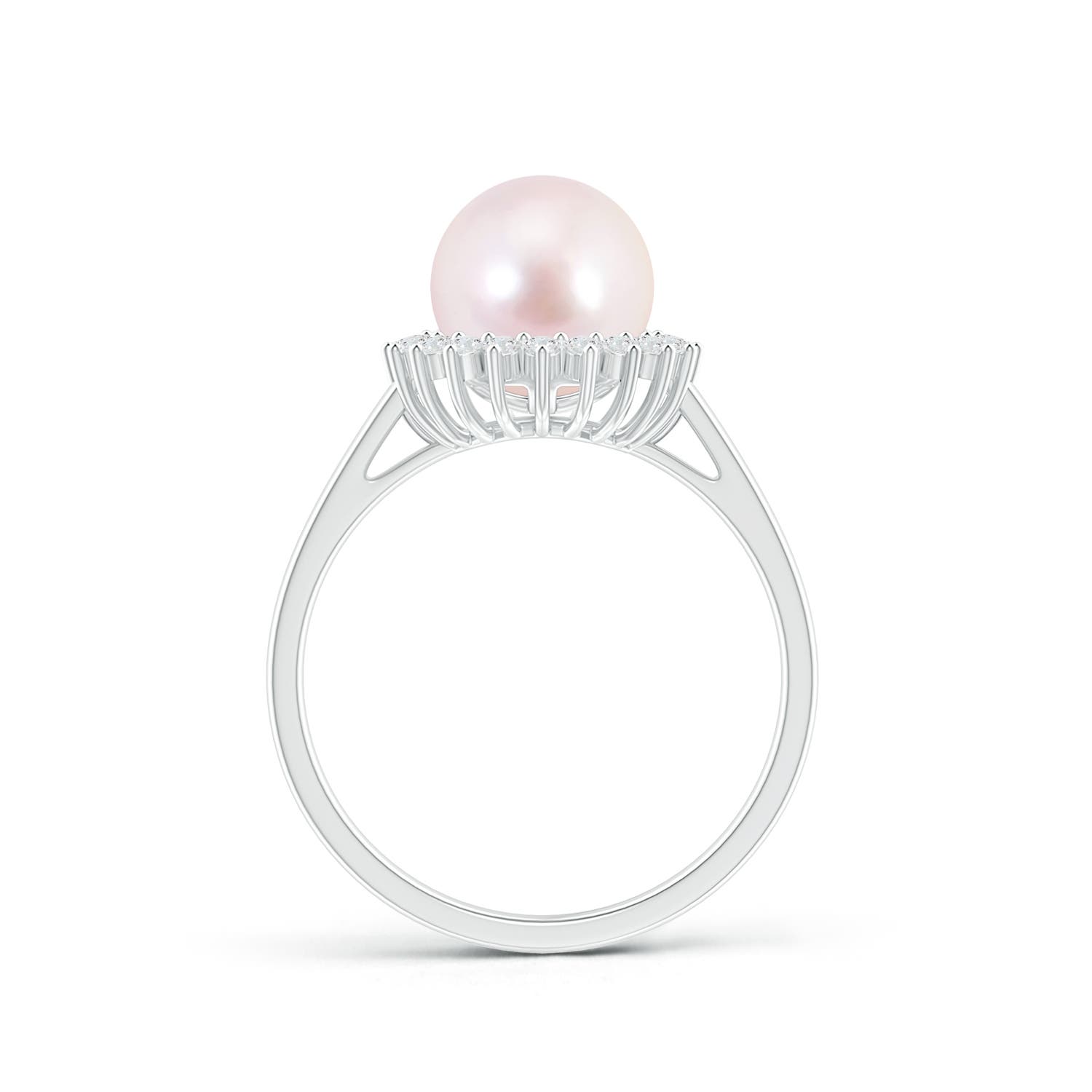 Pearl パンデイロ yumiy Pearl パンデイロ yumiy Pearl パンデイロ yumiy Amazon.com