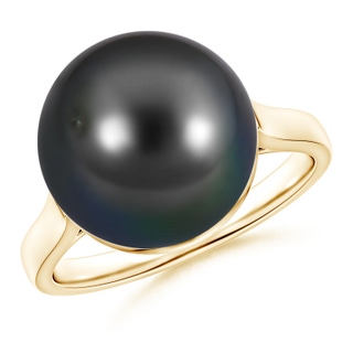 Round AA Tahitian Cultured Pearl