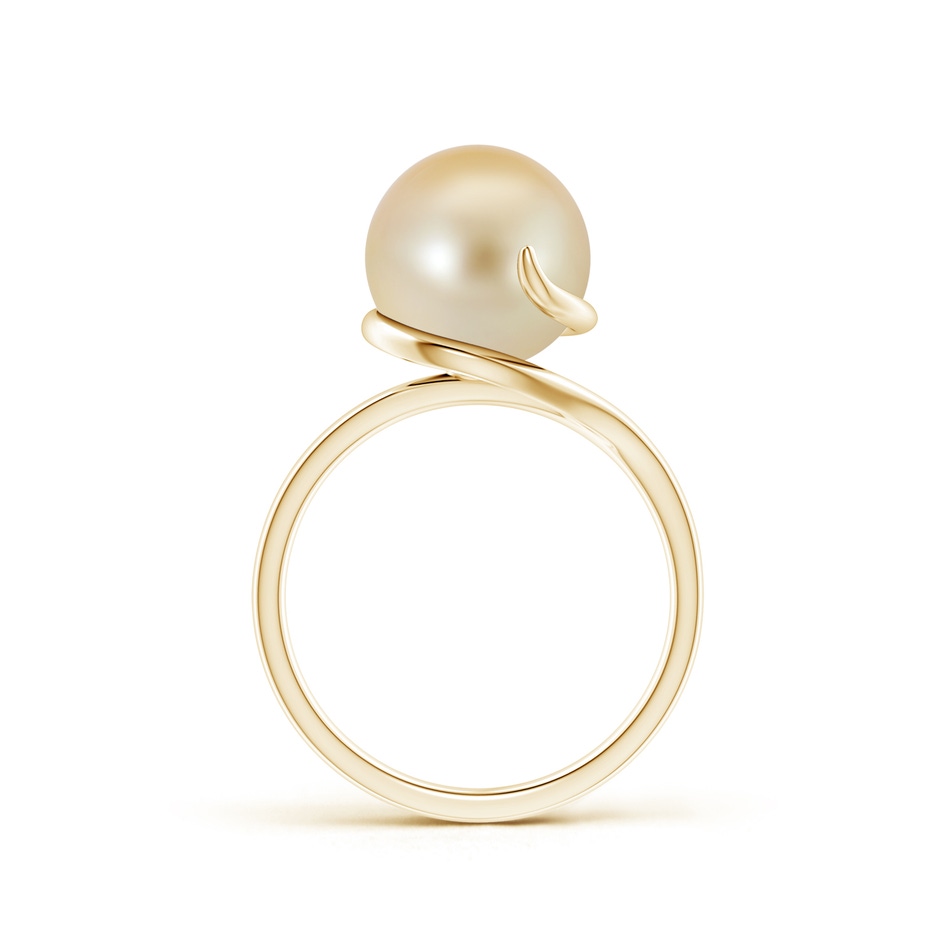10mm AAA Golden South Sea Pearl Ring with Spiral Metal Loop in Yellow Gold product image