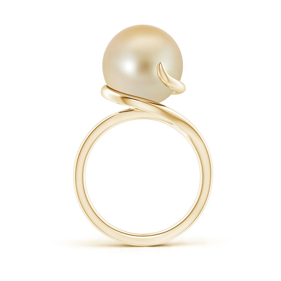 12mm AAA Golden South Sea Pearl Ring with Spiral Metal Loop in Yellow Gold product image