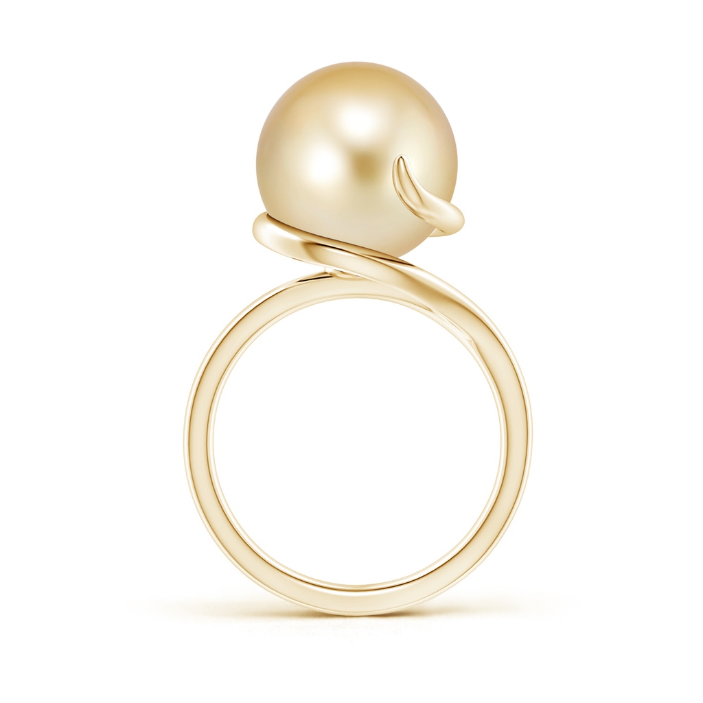 12mm AAAA Golden South Sea Pearl Ring with Spiral Metal Loop in Yellow Gold Product Image