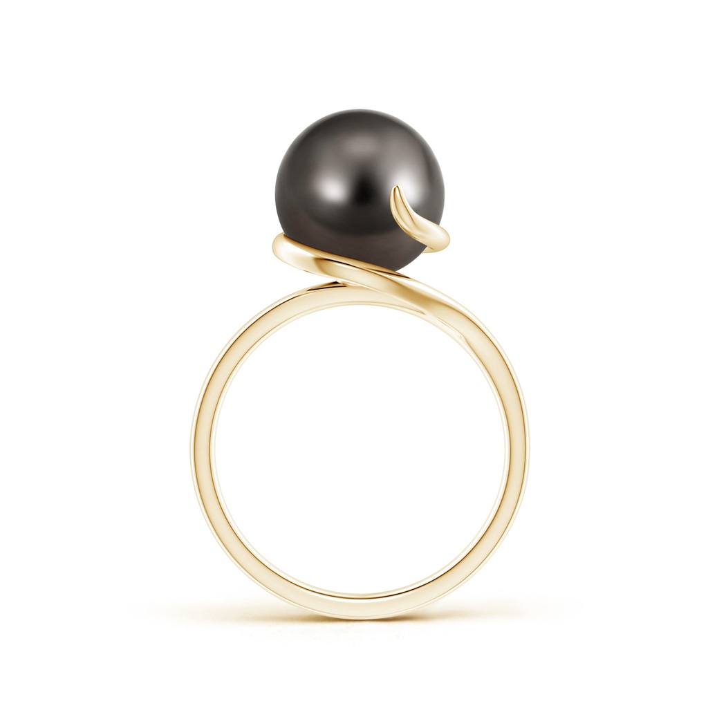 10mm AAA Tahitian Pearl Ring with Spiral Metal Loop in Yellow Gold Product Image
