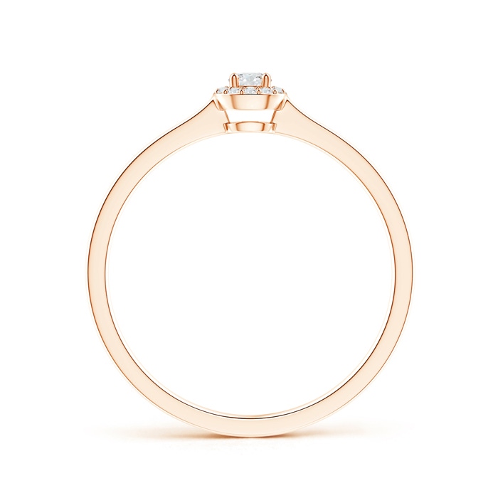 2.6mm GVS2 Classic Prong-Set Round Diamond Halo Ring in Rose Gold product image