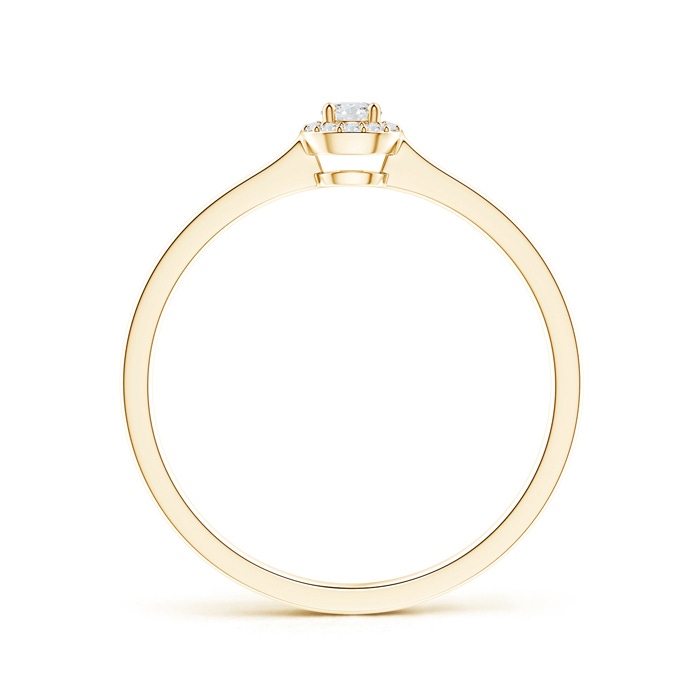 2.6mm GVS2 Classic Prong-Set Round Diamond Halo Ring in Yellow Gold Product Image