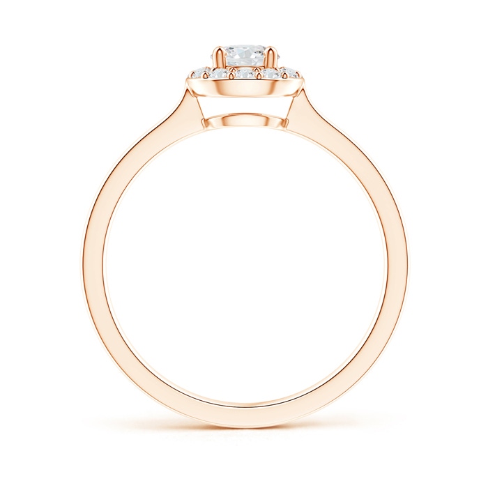 4.2mm GVS2 Classic Prong-Set Round Diamond Halo Ring in Rose Gold product image