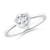 1/3 carat