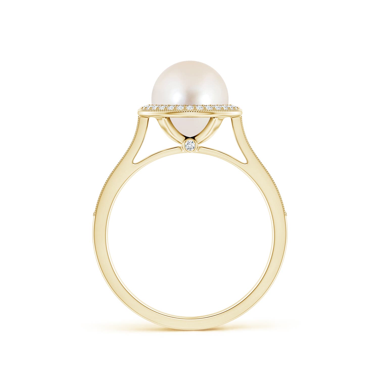 AAAA / 4.05 CT / 14 KT Yellow Gold