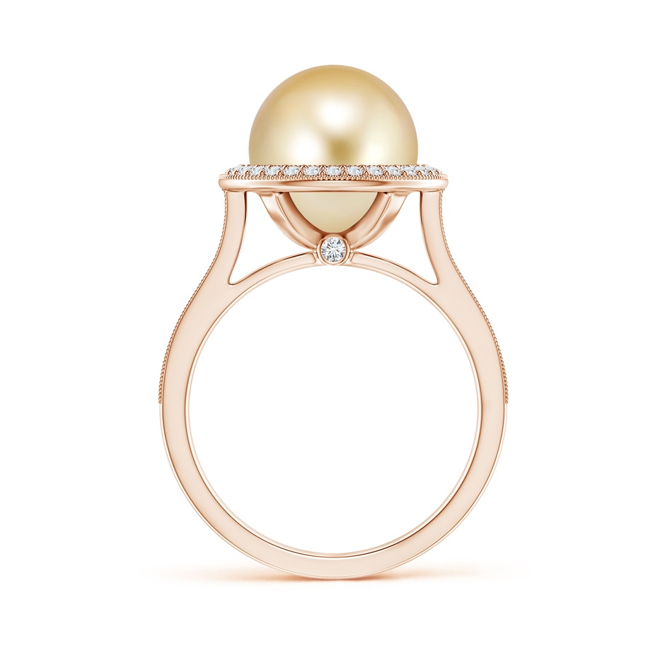 10mm AAAA Golden South Sea Pearl Halo Ring with Milgrain in Rose Gold side 1