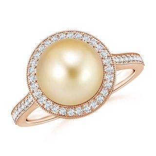 9mm AAAA Golden South Sea Pearl Halo Ring with Milgrain in Rose Gold