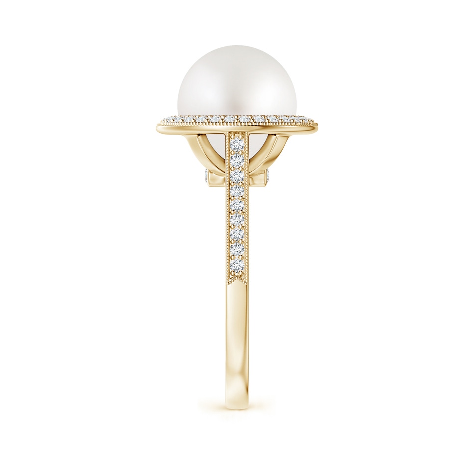 10mm AA South Sea Pearl Halo Ring with Milgrain in Yellow Gold side 2