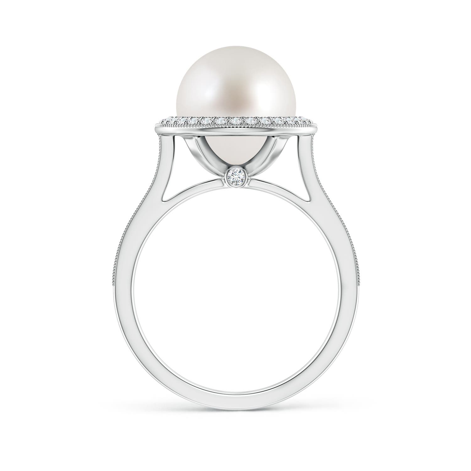 10mm AAA South Sea Pearl Halo Ring with Milgrain in White Gold