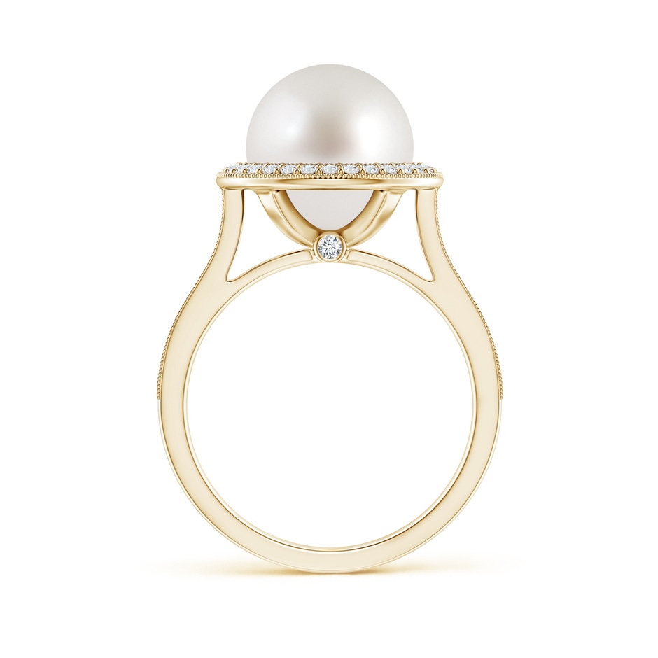 10mm AAA South Sea Pearl Halo Ring with Milgrain in Yellow Gold side 1