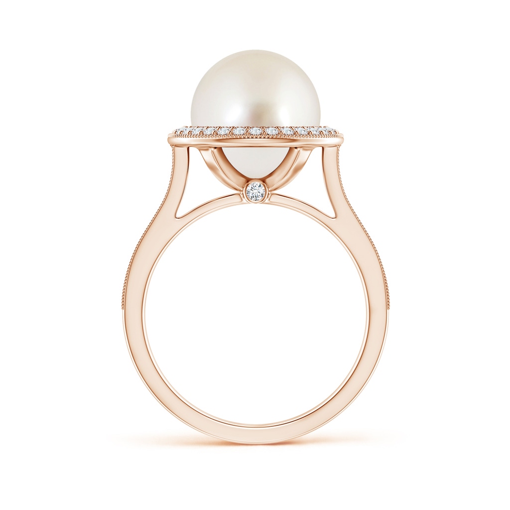 10mm AAAA South Sea Pearl Halo Ring with Milgrain in Rose Gold - side 1