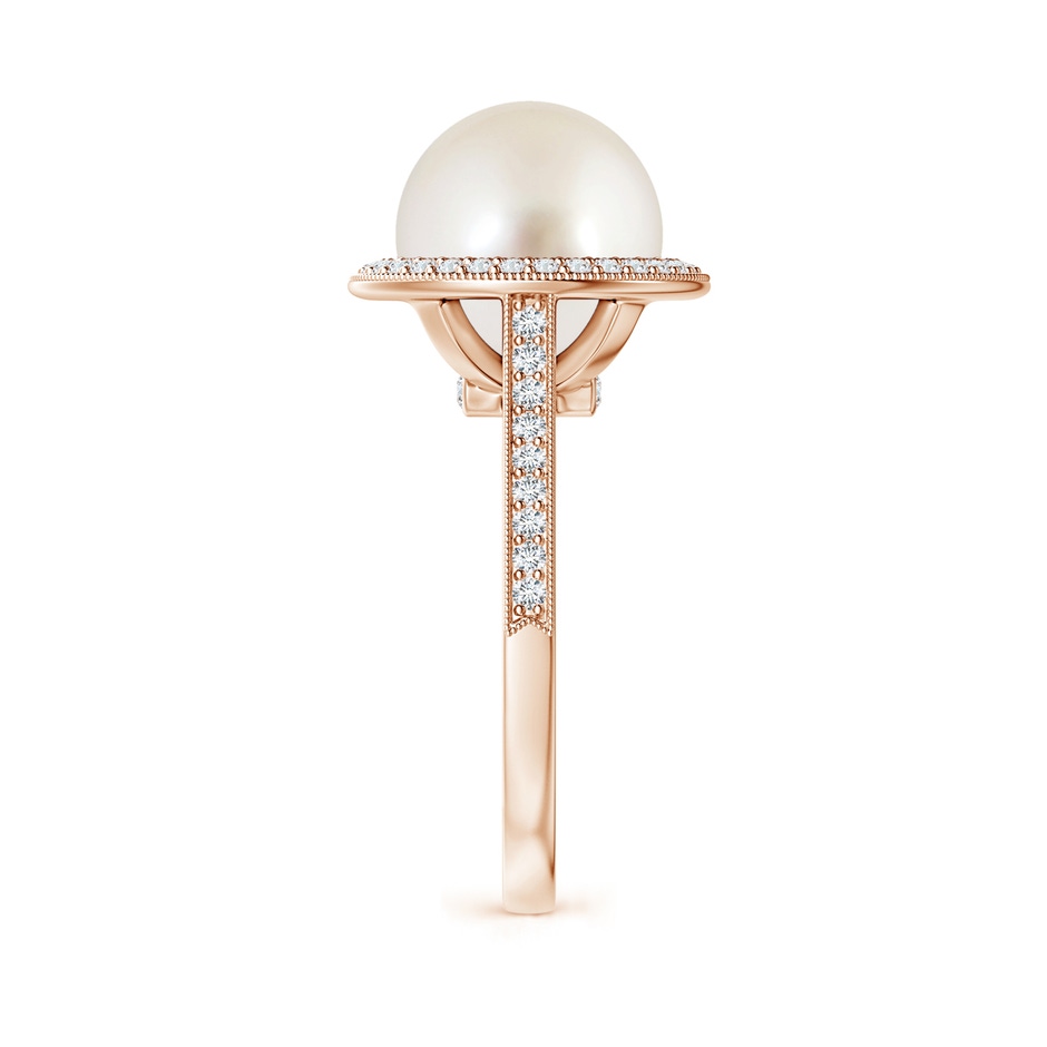 10mm AAAA South Sea Pearl Halo Ring with Milgrain in Rose Gold side 2