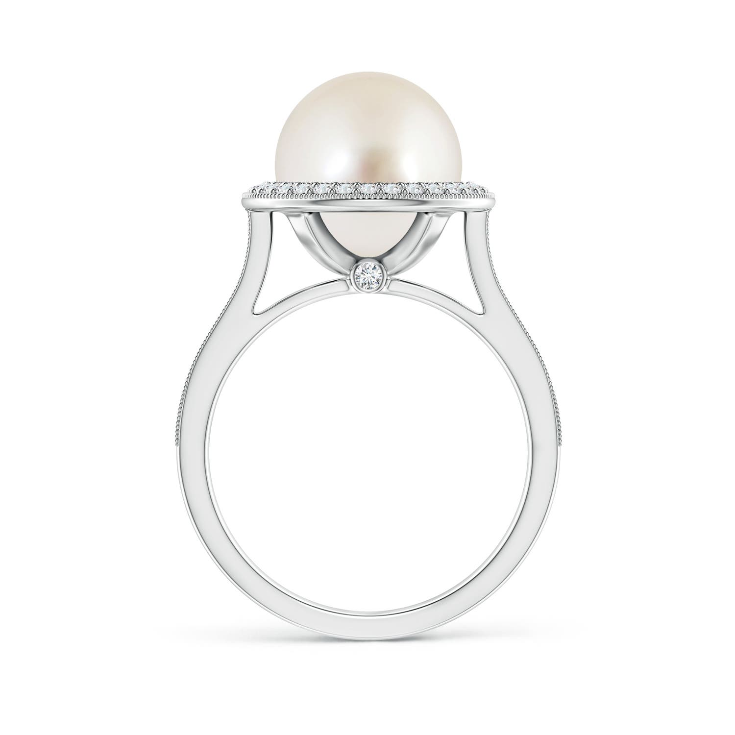 10mm AAAA South Sea Pearl Halo Ring with Milgrain in White Gold - side 2