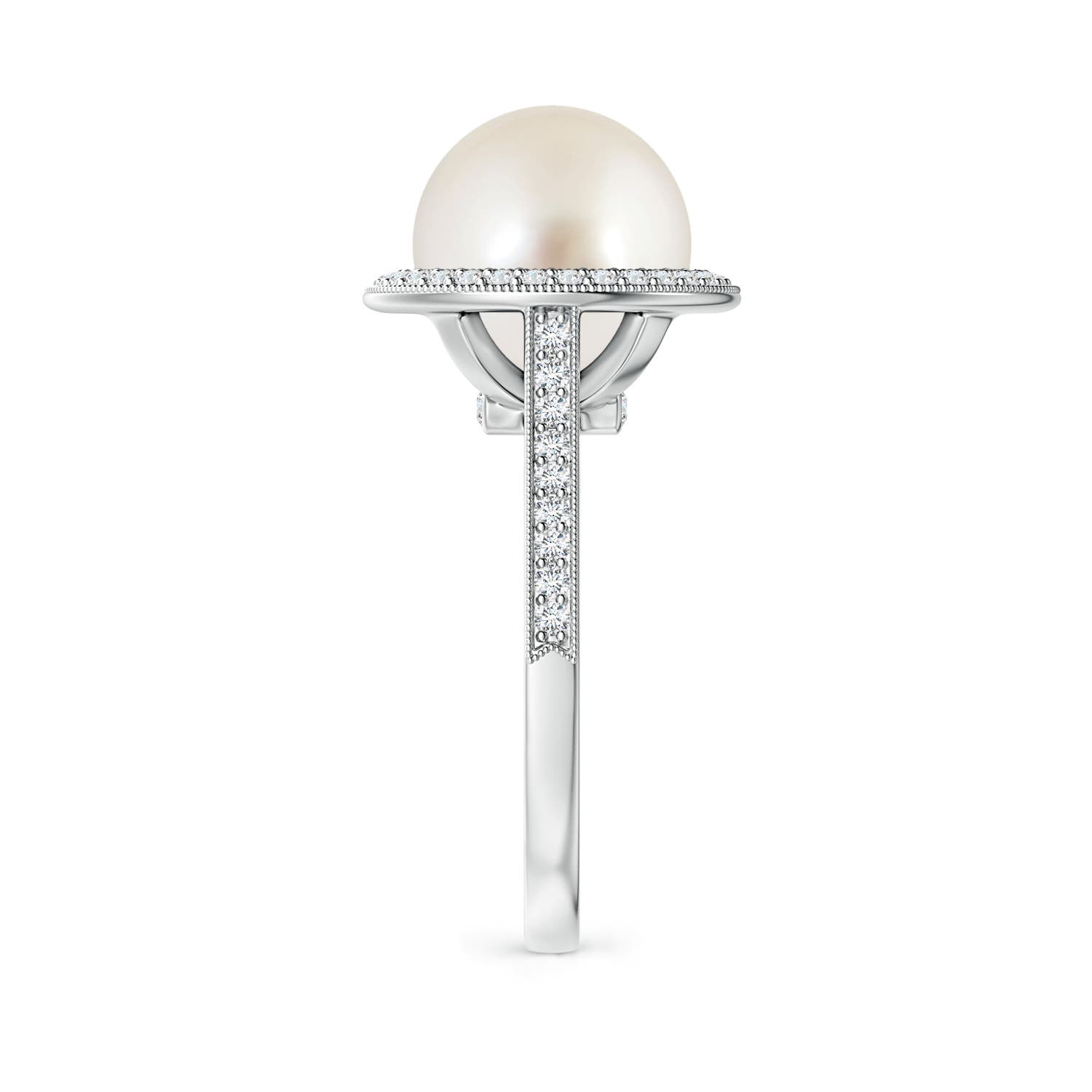 10mm AAAA South Sea Pearl Halo Ring with Milgrain in White Gold - side 3