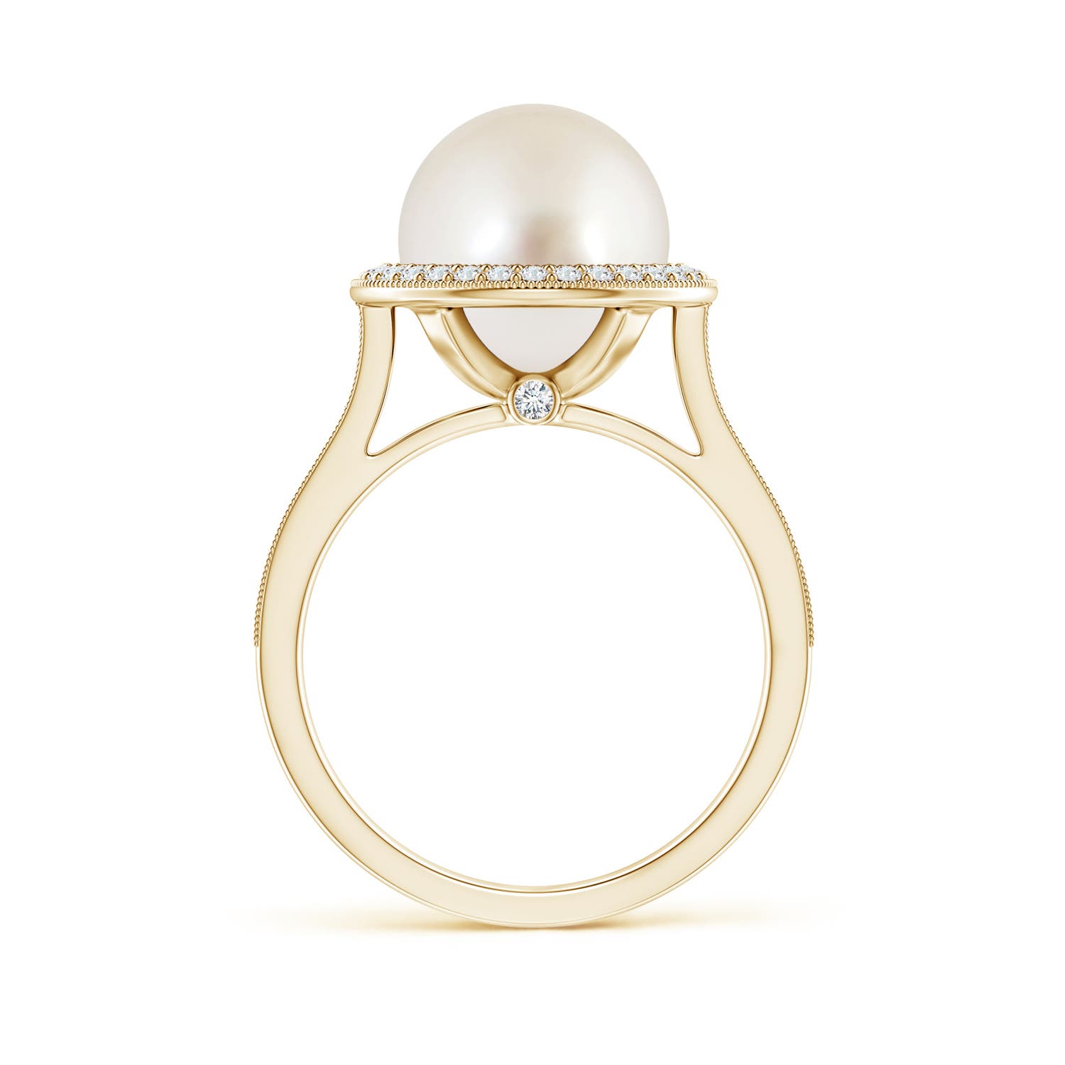 10mm AAAA South Sea Pearl Halo Ring with Milgrain in Yellow Gold