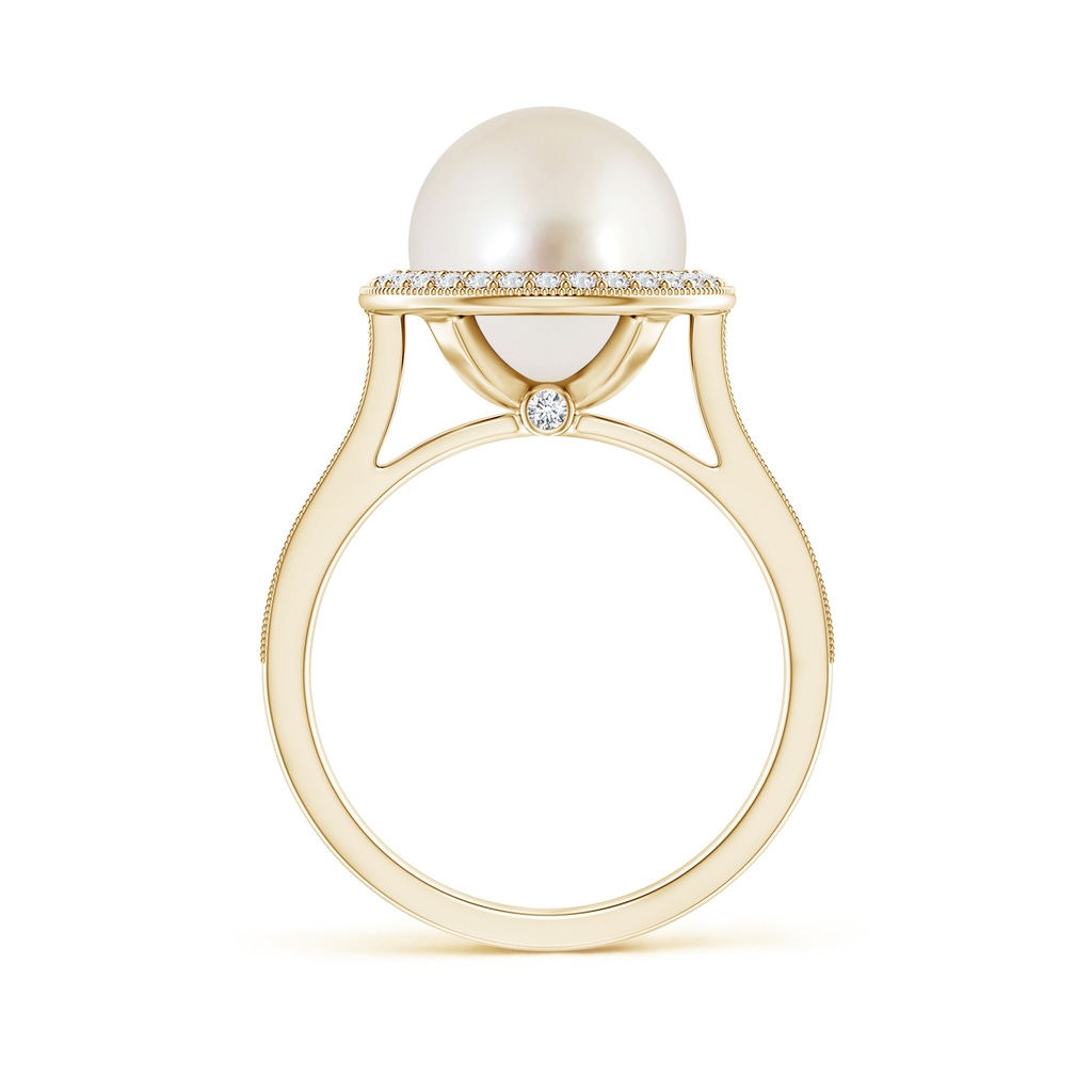 10mm AAAA South Sea Pearl Halo Ring with Milgrain in Yellow Gold Side 1