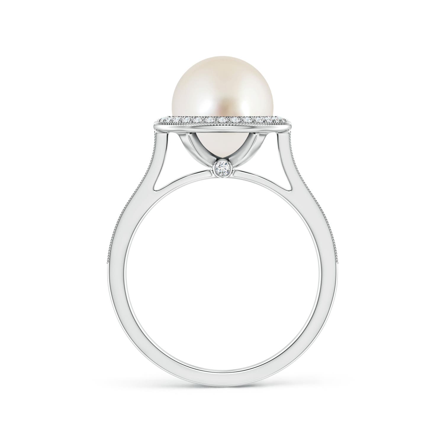 9mm AAAA South Sea Pearl Halo Ring with Milgrain in White Gold