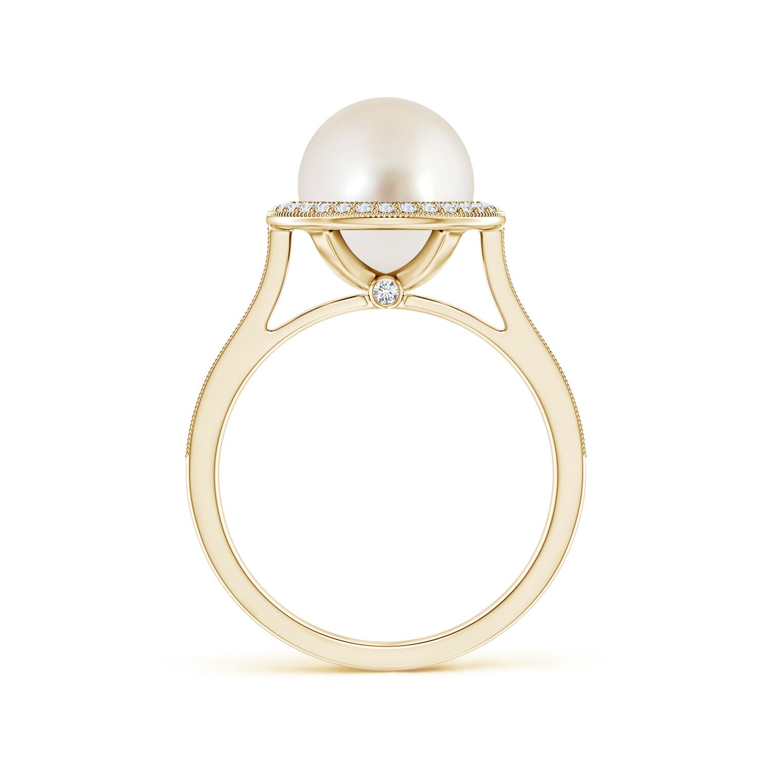 9mm AAAA South Sea Pearl Halo Ring with Milgrain in Yellow Gold - side 2