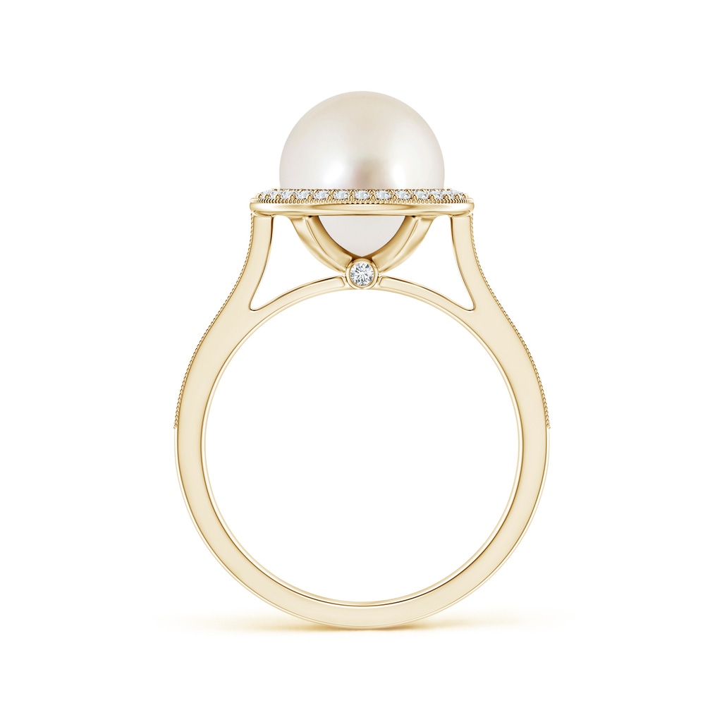 9mm AAAA South Sea Pearl Halo Ring with Milgrain in Yellow Gold Side 1