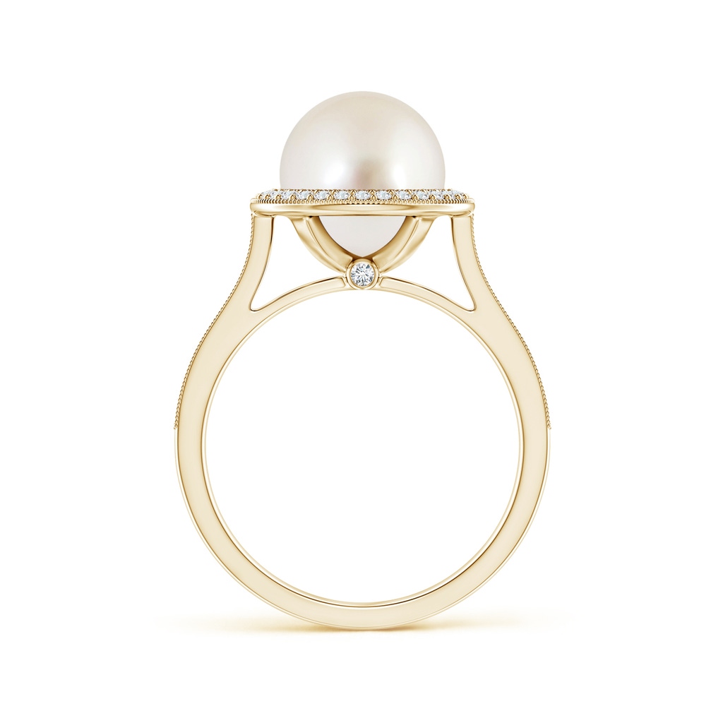 9mm AAAA South Sea Pearl Halo Ring with Milgrain in Yellow Gold - side 1