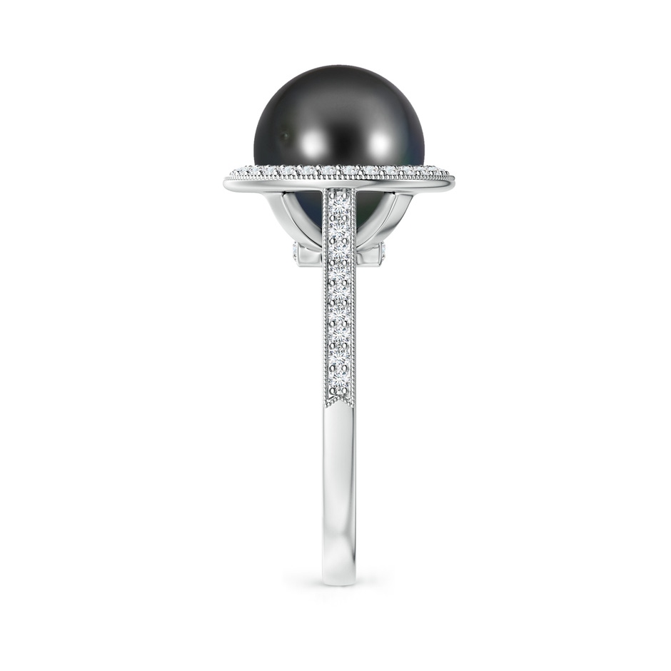 10mm AA Tahitian Pearl Halo Ring with Milgrain in White Gold side 2