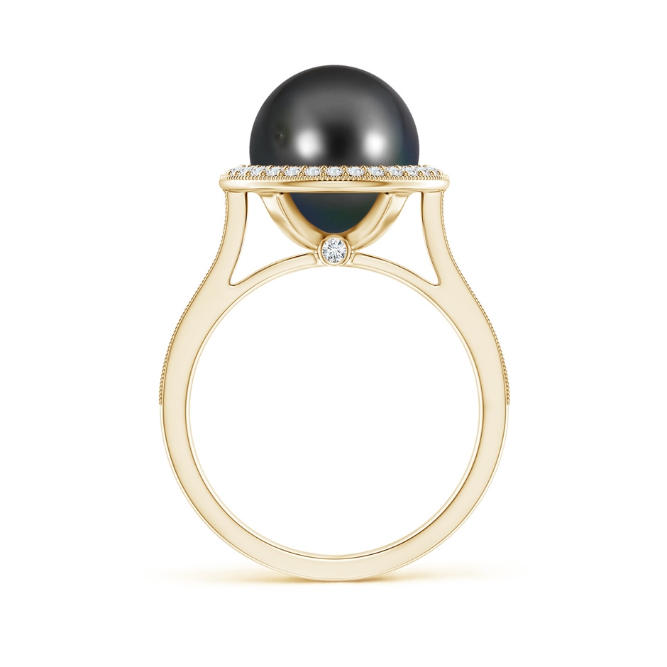 10mm AA Tahitian Pearl Halo Ring with Milgrain in Yellow Gold side 1