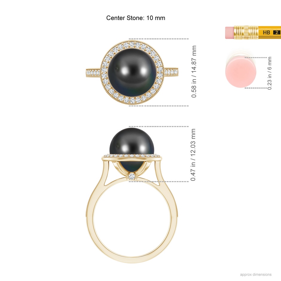 10mm AA Tahitian Pearl Halo Ring with Milgrain in Yellow Gold ruler