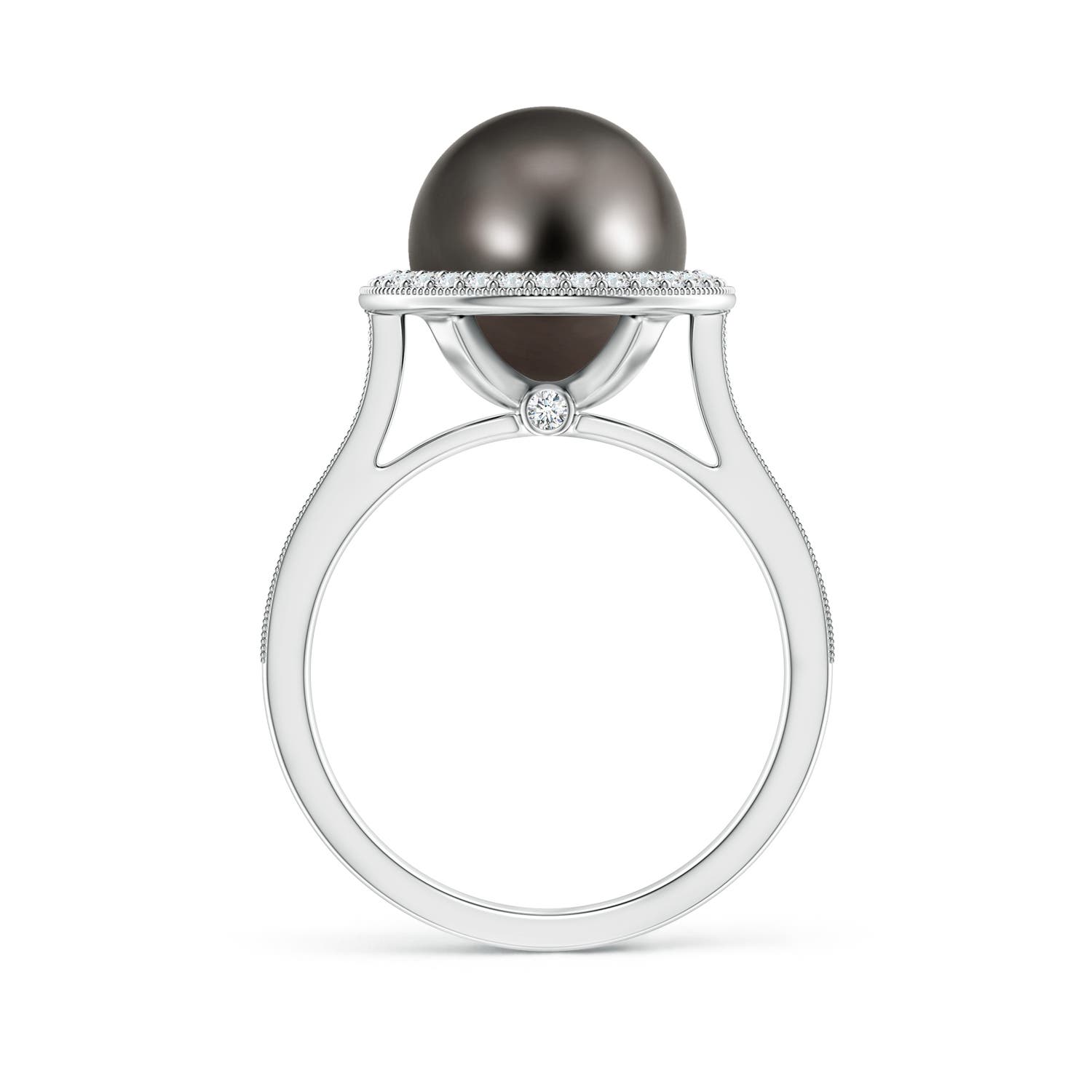 10mm AAA Tahitian Pearl Halo Ring with Milgrain in White Gold