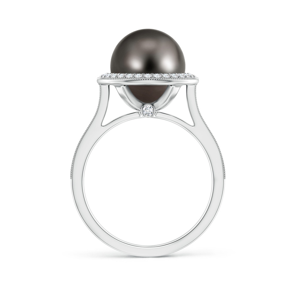 10mm AAA Tahitian Pearl Halo Ring with Milgrain in White Gold side 1