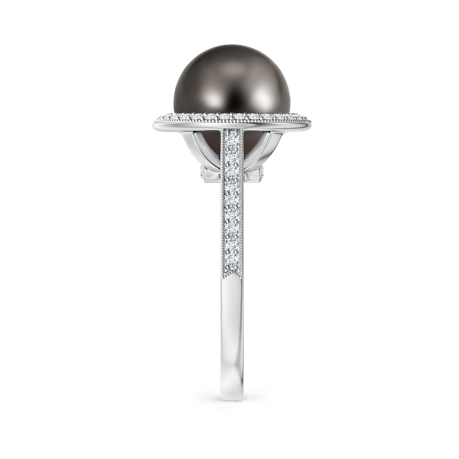 10mm AAA Tahitian Pearl Halo Ring with Milgrain in White Gold side 2