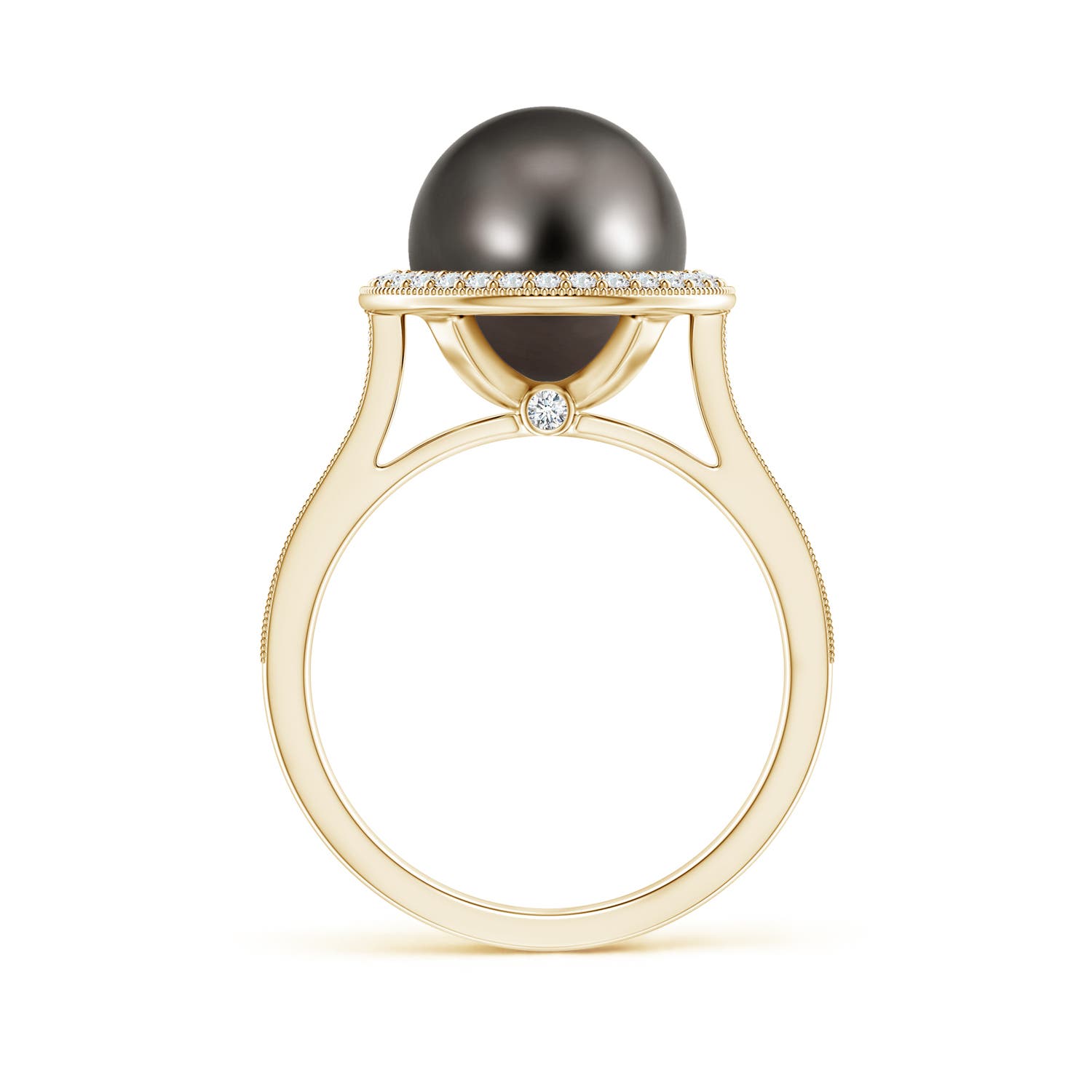 10mm AAA Tahitian Pearl Halo Ring with Milgrain in Yellow Gold - side 2