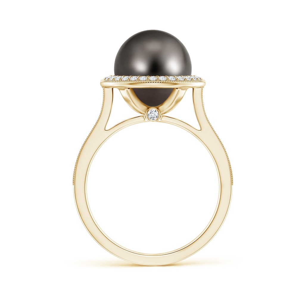 10mm AAA Tahitian Pearl Halo Ring with Milgrain in Yellow Gold Side 1