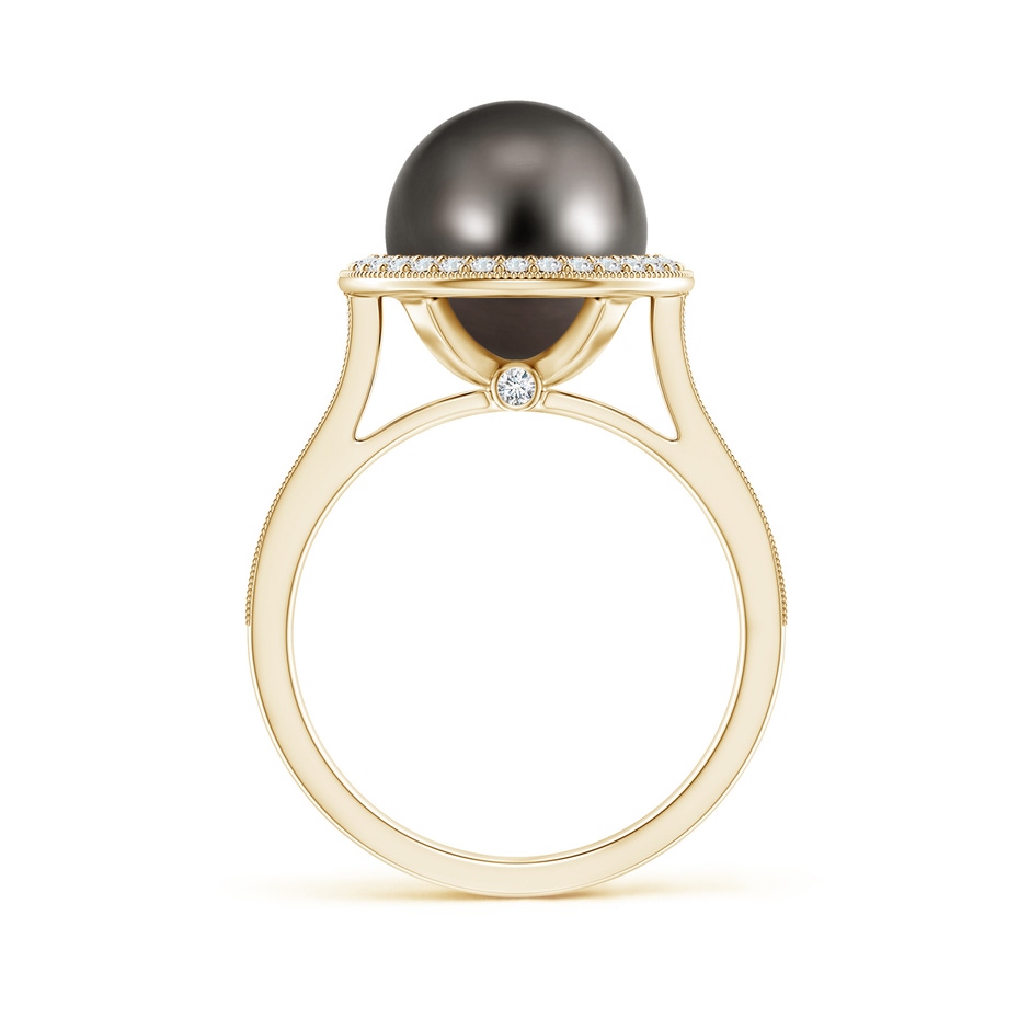 10mm AAA Tahitian Pearl Halo Ring with Milgrain in Yellow Gold side 1