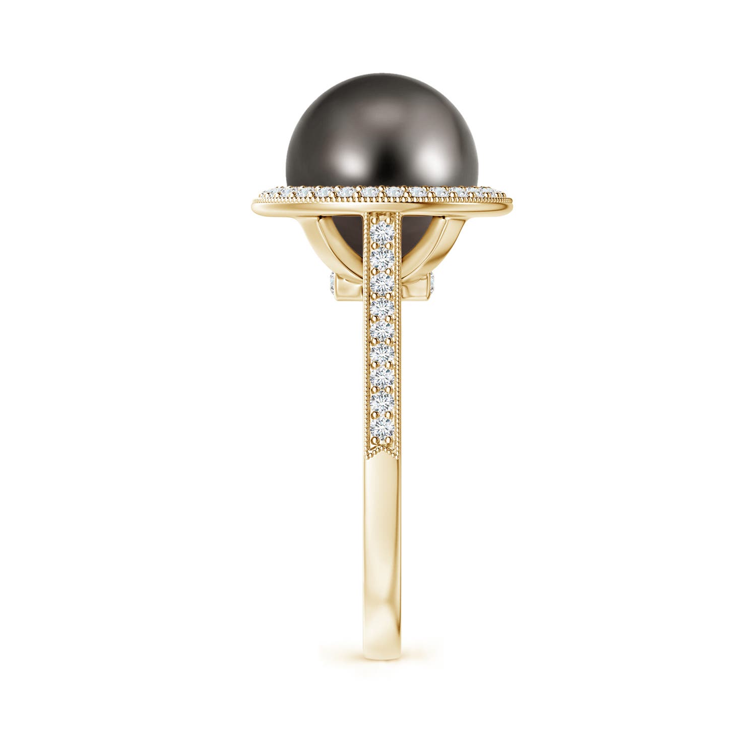 10mm AAA Tahitian Pearl Halo Ring with Milgrain in Yellow Gold - side 3