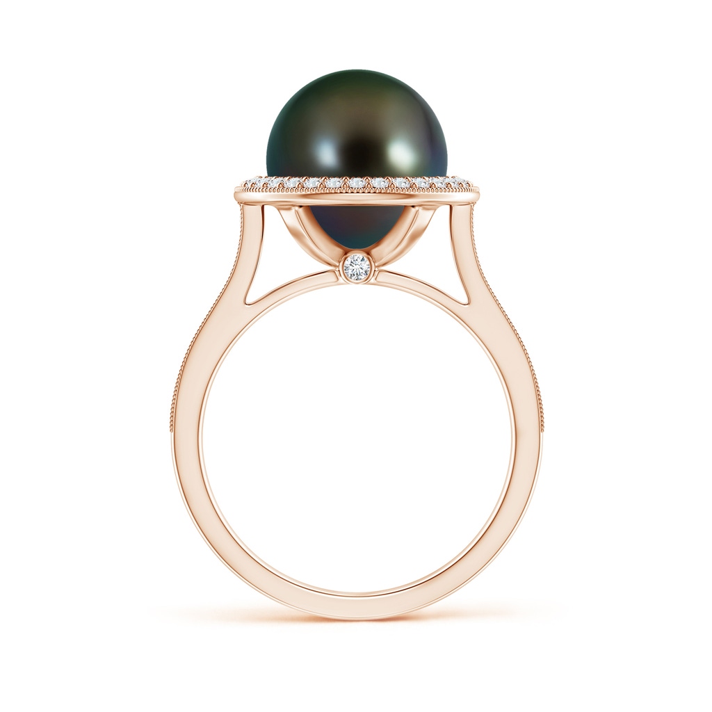 10mm AAAA Tahitian Pearl Halo Ring with Milgrain in Rose Gold - side 1